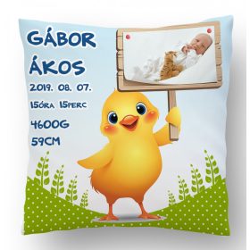Fényképes Kiscsibés párna