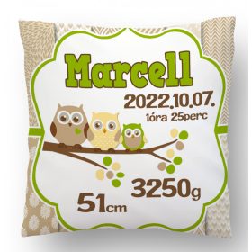 Barna Zöld Bagoly család Megérkeztem Párna