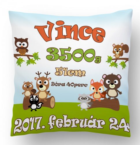 Takaró párna szett Vince