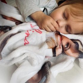   Beszoktatós takaró "átmeneti tárgy", mert így könnyebben megy a beszokás